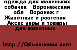 одежда для маленьких собачек - Воронежская обл., Воронеж г. Животные и растения » Аксесcуары и товары для животных   